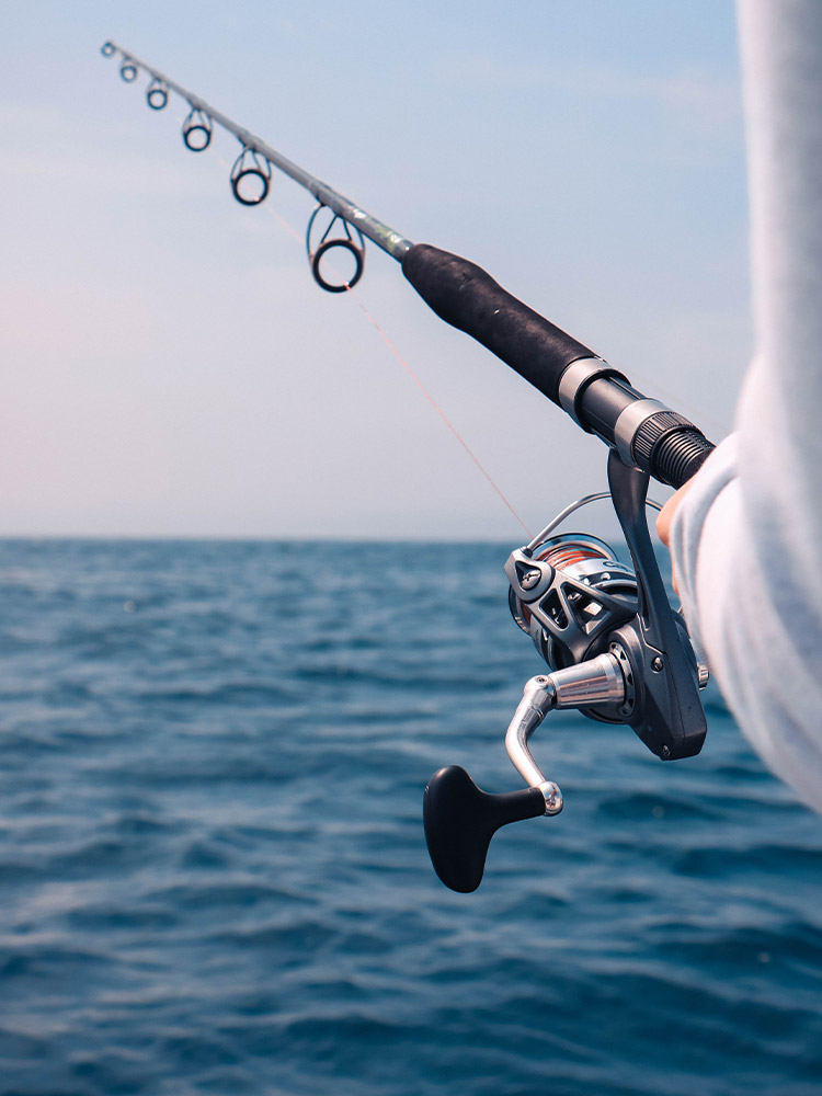 fishing pole fish sea ocean boat