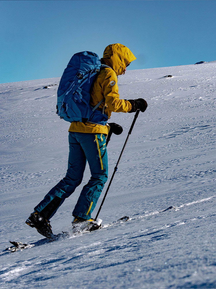 ski touring skiing raquettes